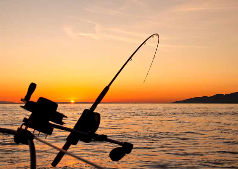 Rod and Reel During Sunset on Overnight Fishing Charter