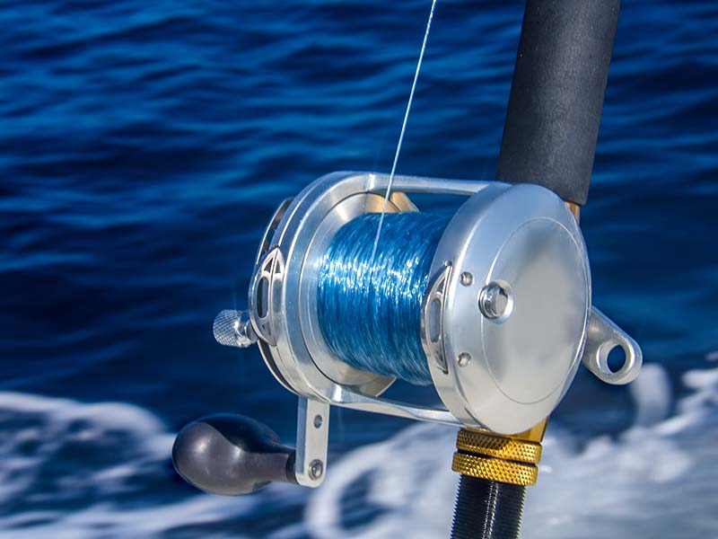 Saltwater reel and fishing line.