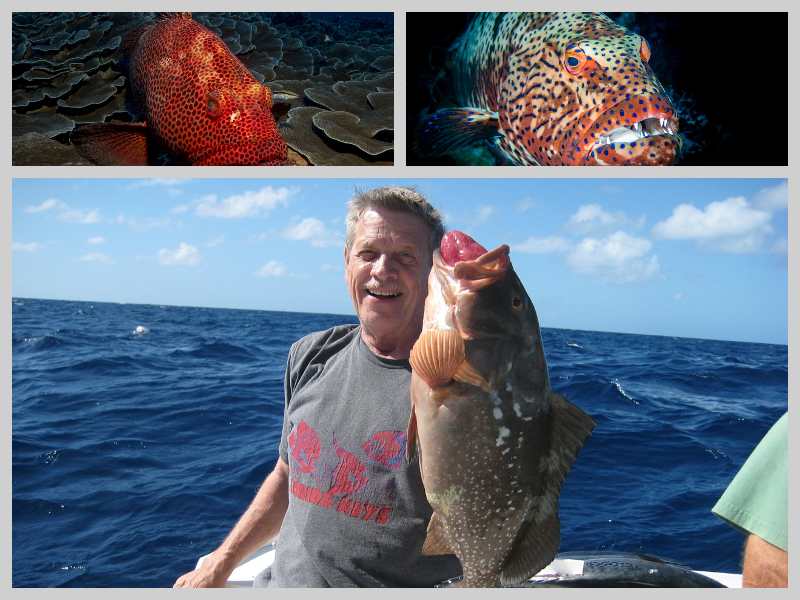 Fisherman with Grouper Fish Collage