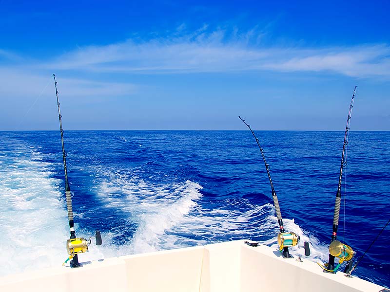 Gulf deep sea fishing. Rods and reels on charter boat out at sea.