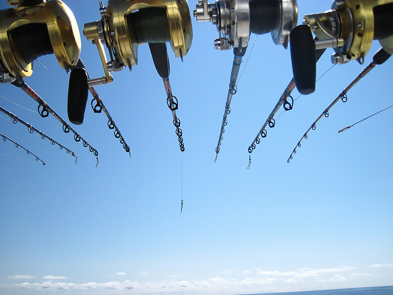 Rods and Reels off saltwater fishing boat
