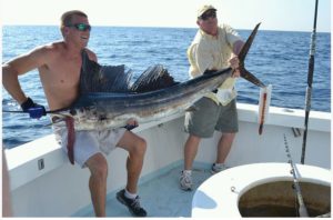 Two fishermen holding their sailfish catch on the stern of the Finest Kind Charter Boat.