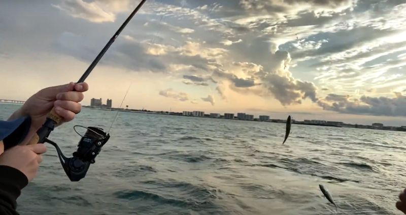 Saltwater Jigging: How To Catch Saltwater Fish With Jigs