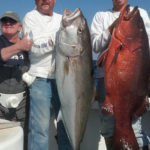 Fishers with Amberjack &amp; Red Snapper catches.